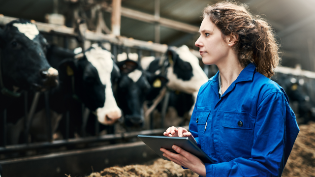 The Person inspecting milk
