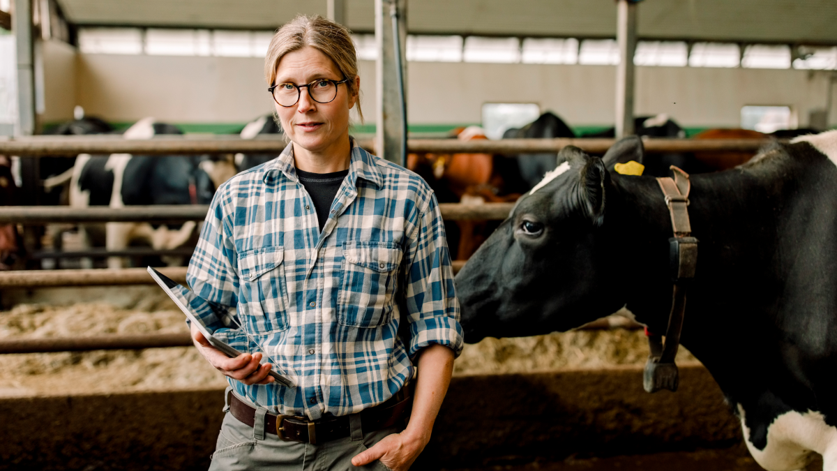 Dairy Farmers of America blog image