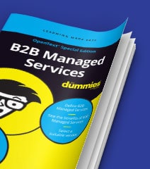 B2B Managed Services for Dummies guide cover